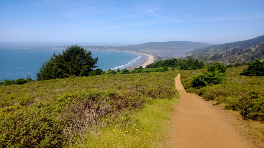 06Stinsonbeach Luke Fostvedt